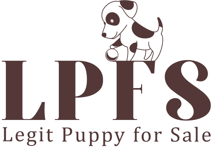 Healthy and playful puppies available for online adoption.